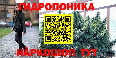 ECSTASY Свободный
