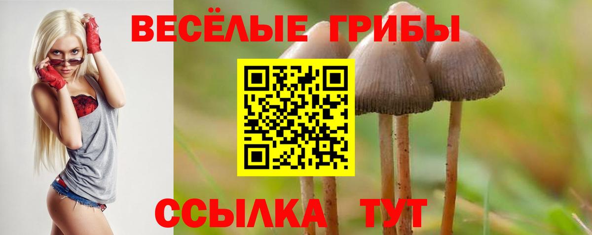 Галлюциногенные грибы мицелий Сыктывкар
